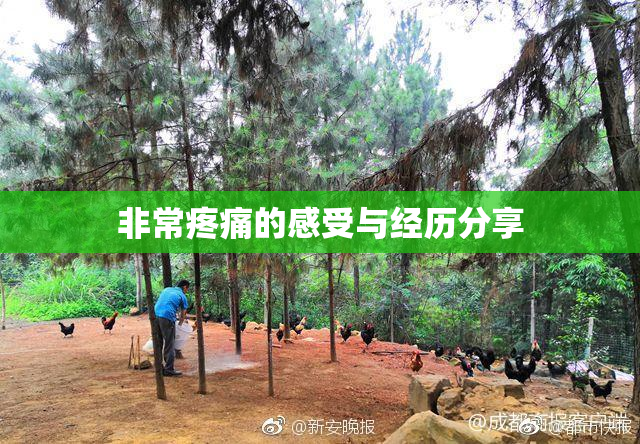 非常疼痛的感受与经历分享