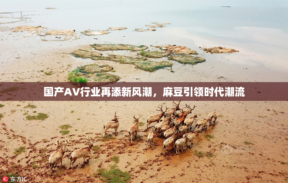 国产AV行业再添新风潮，麻豆引领时代潮流