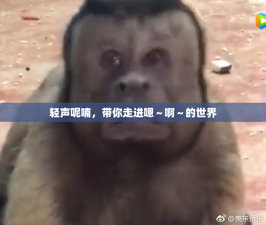 轻声呢喃，带你走进嗯～啊～的世界