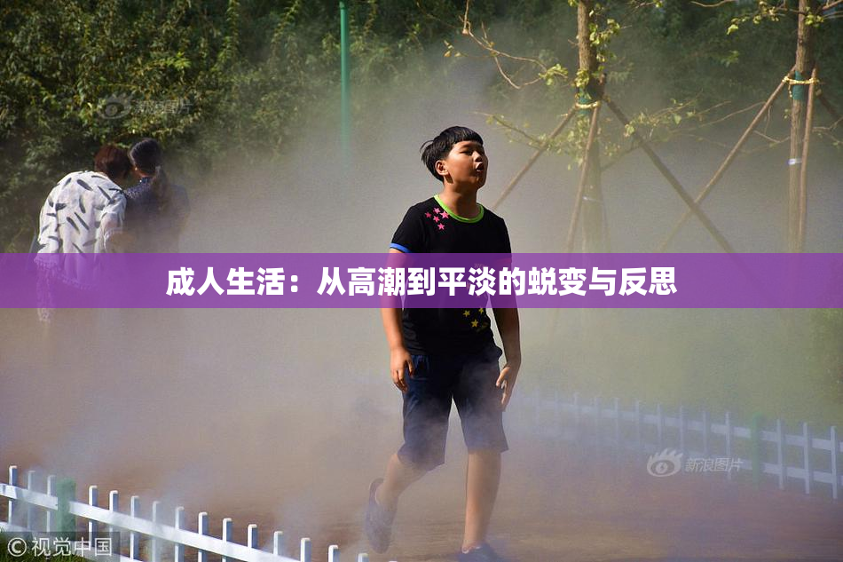 成人生活：从高潮到平淡的蜕变与反思