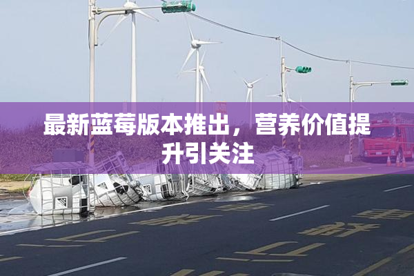 最新蓝莓版本推出，营养价值提升引关注