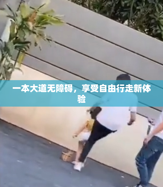 一本大道无障碍，享受自由行走新体验