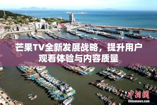 芒果TV全新发展战略，提升用户观看体验与内容质量