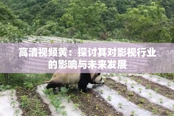 高清视频黄：探讨其对影视行业的影响与未来发展