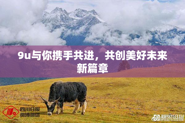9u与你携手共进，共创美好未来新篇章