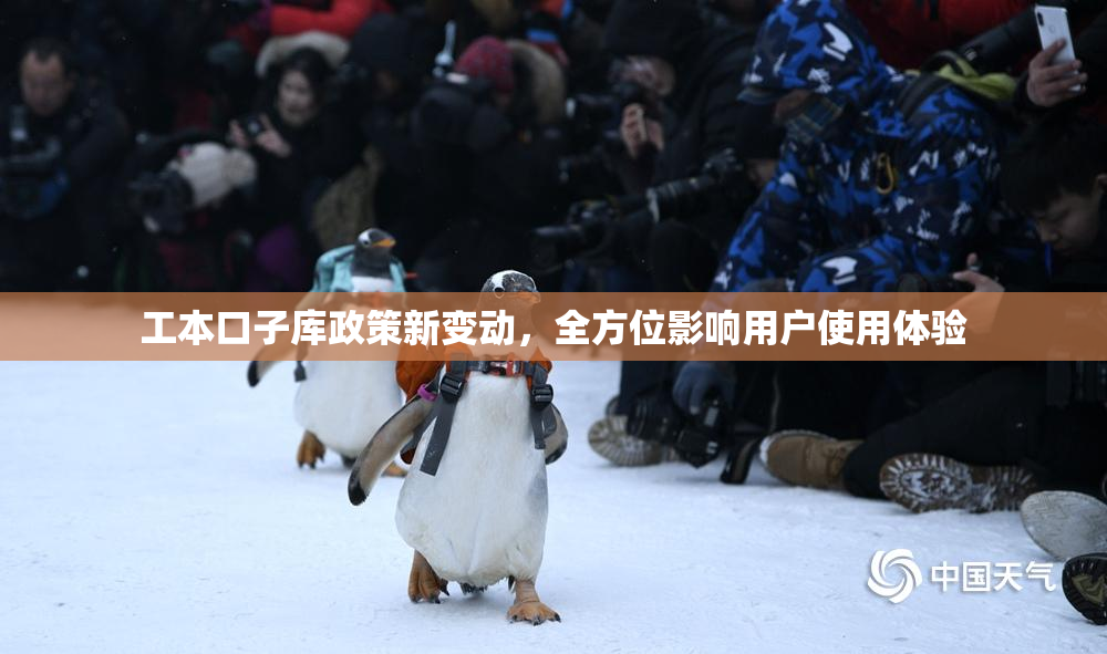 工本口子库政策新变动，全方位影响用户使用体验