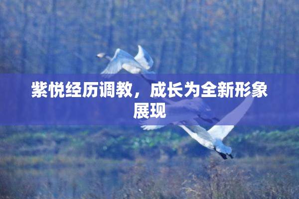 紫悦经历调教，成长为全新形象展现