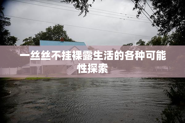 一丝丝不挂裸露生活的各种可能性探索