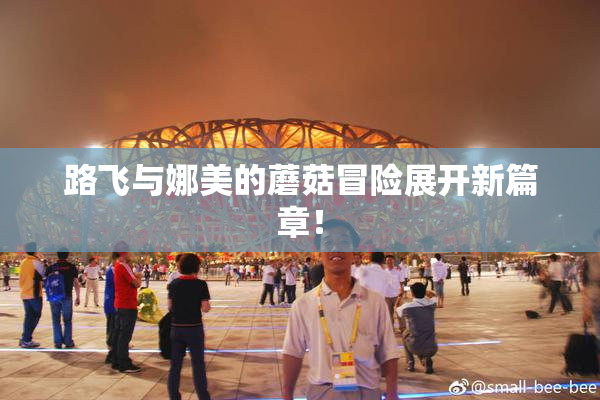 路飞与娜美的蘑菇冒险展开新篇章！