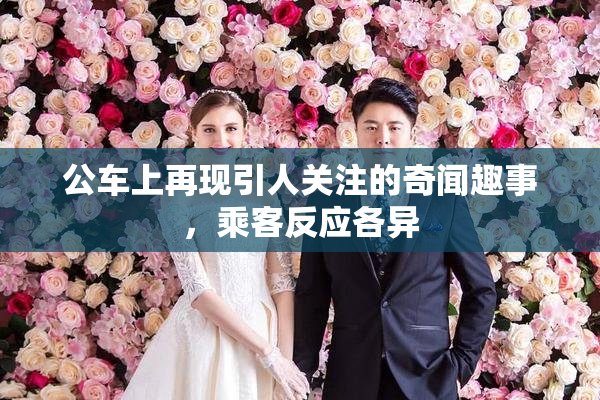 公车上再现引人关注的奇闻趣事，乘客反应各异