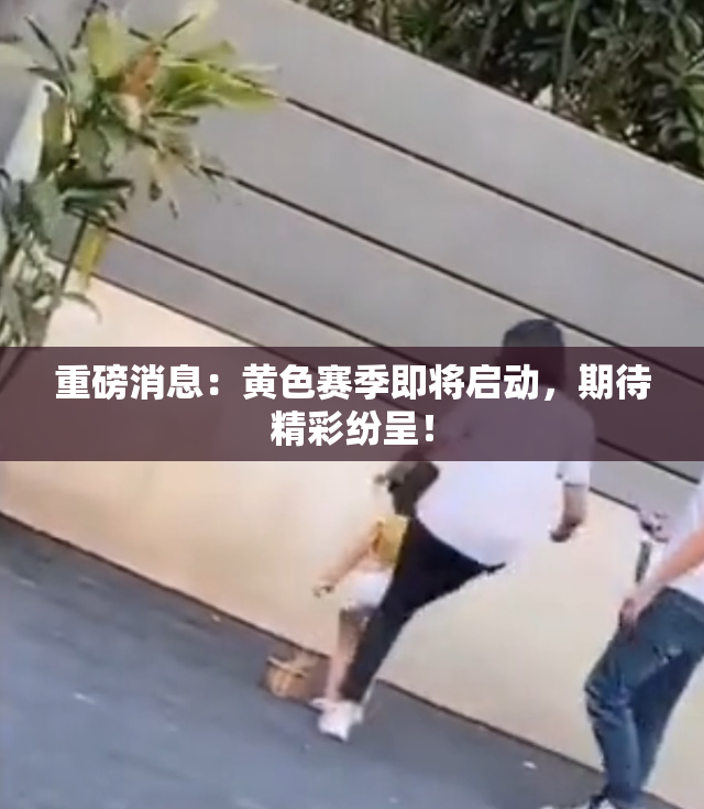 重磅消息：黄色赛季即将启动，期待精彩纷呈！