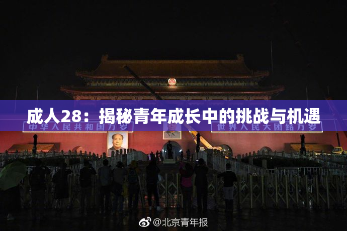 成人28：揭秘青年成长中的挑战与机遇