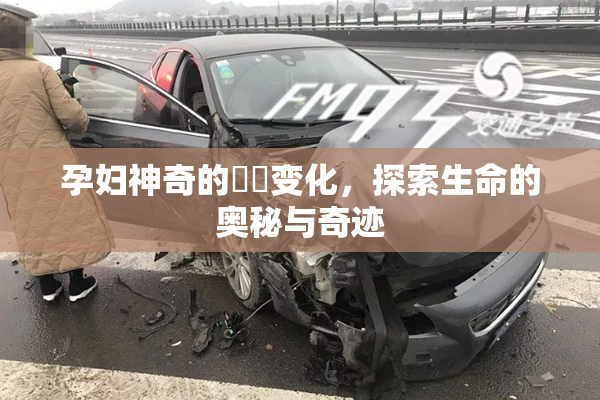 孕妇神奇的乂乄变化，探索生命的奥秘与奇迹