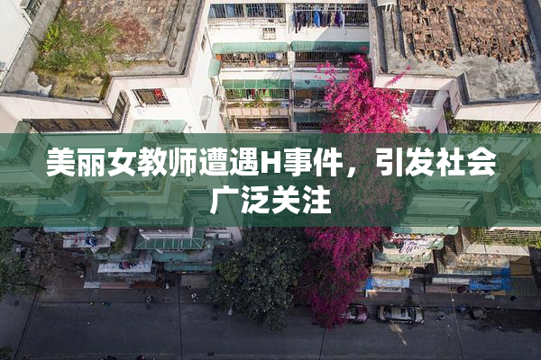 美丽女教师遭遇H事件，引发社会广泛关注