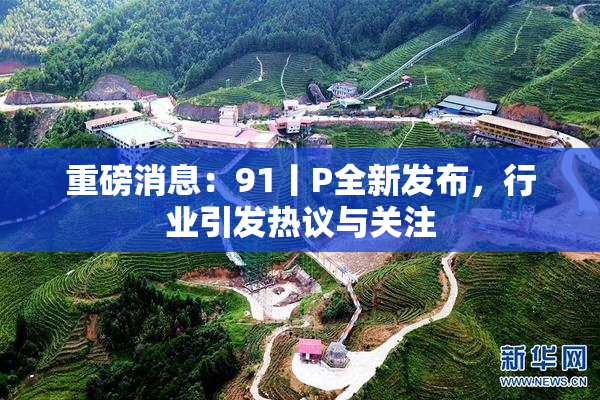 重磅消息：91丨P全新发布，行业引发热议与关注