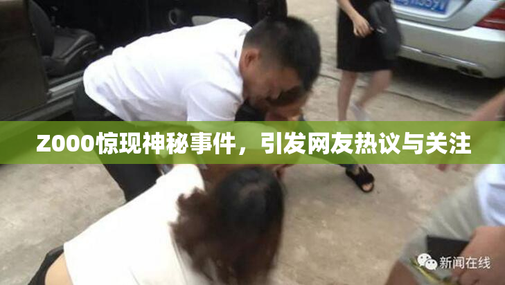 Z000惊现神秘事件，引发网友热议与关注