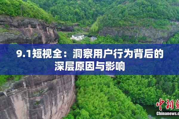 9.1短视全：洞察用户行为背后的深层原因与影响