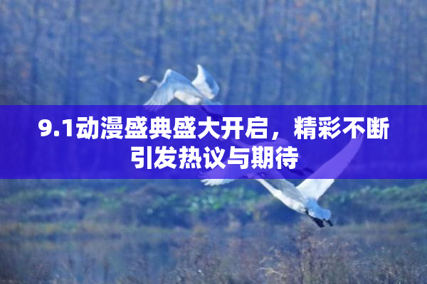 9.1动漫盛典盛大开启，精彩不断引发热议与期待
