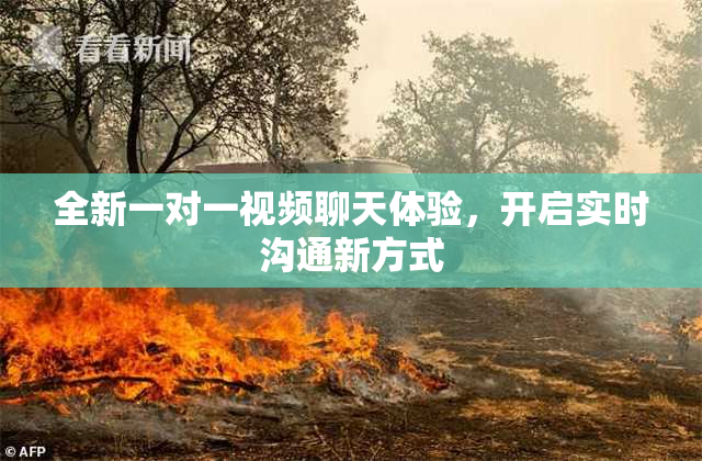 全新一对一视频聊天体验，开启实时沟通新方式