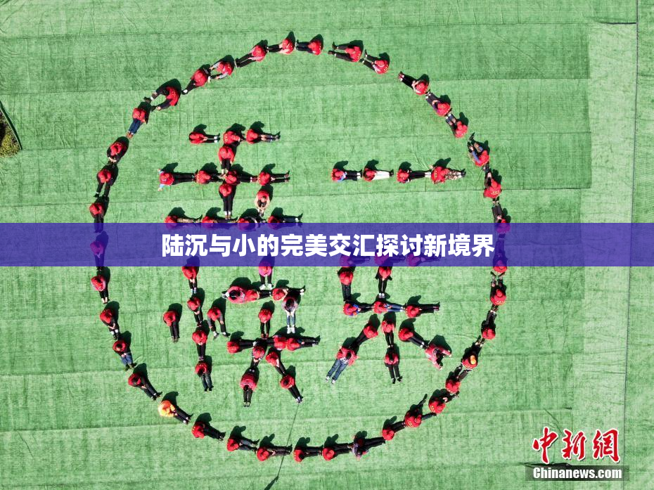 陆沉与小的完美交汇探讨新境界