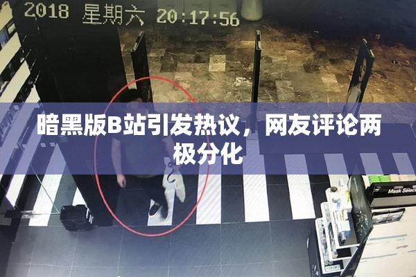 暗黑版B站引发热议，网友评论两极分化