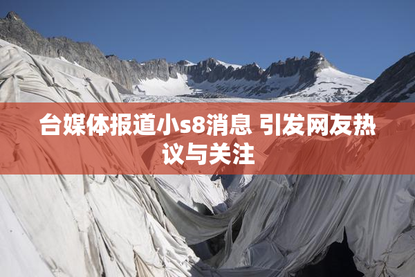 台媒体报道小s8消息 引发网友热议与关注
