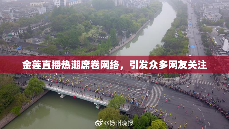金莲直播热潮席卷网络，引发众多网友关注