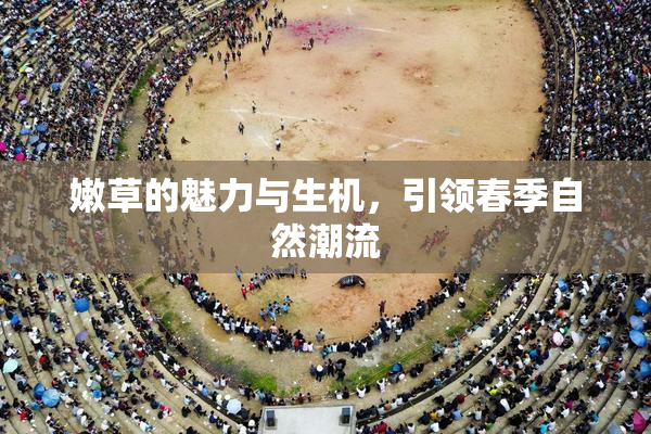 嫩草的魅力与生机，引领春季自然潮流