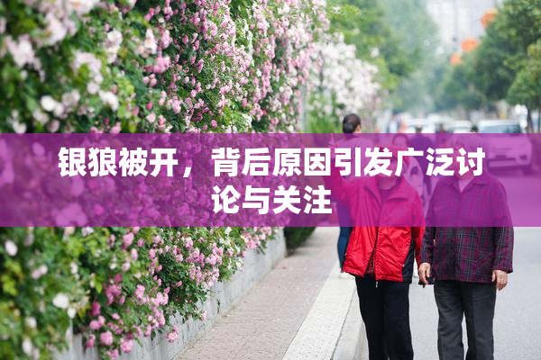 银狼被开，背后原因引发广泛讨论与关注