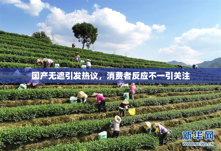 国产无遮引发热议，消费者反应不一引关注