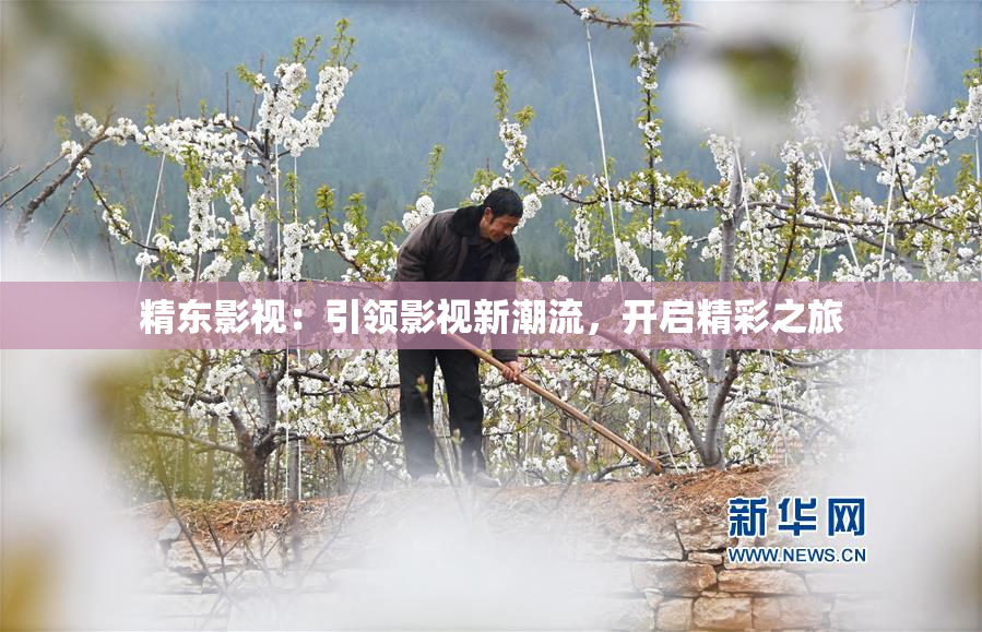 精东影视：引领影视新潮流，开启精彩之旅