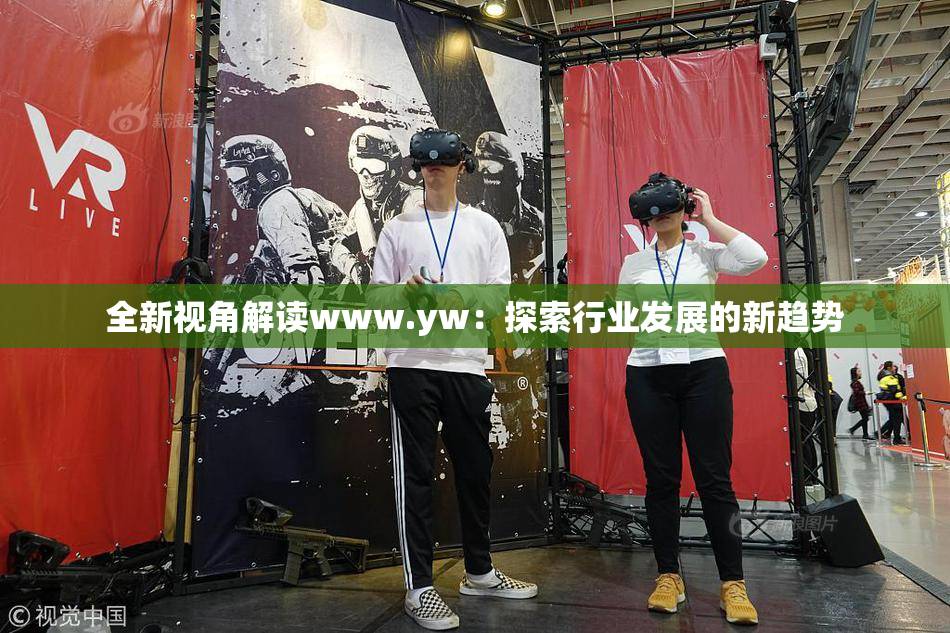 全新视角解读www.yw：探索行业发展的新趋势
