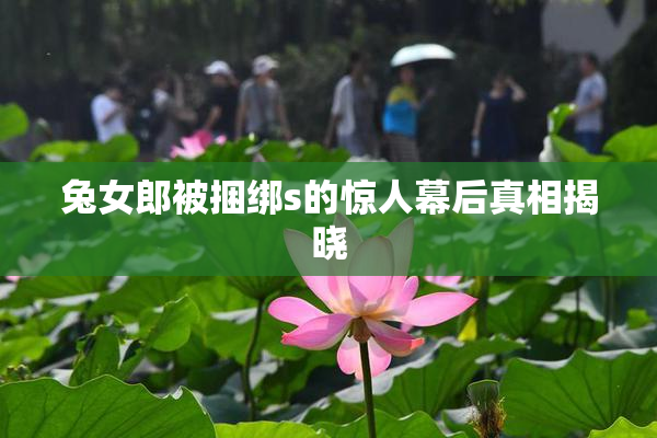 兔女郎被捆绑s的惊人幕后真相揭晓