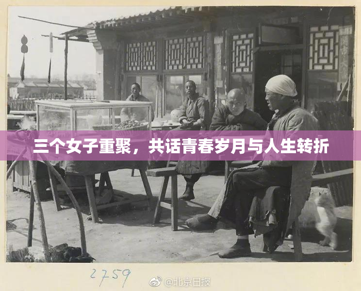 三个女子重聚，共话青春岁月与人生转折