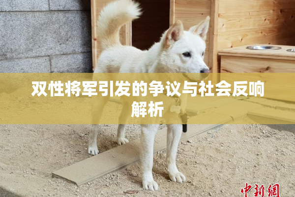 双性将军引发的争议与社会反响解析