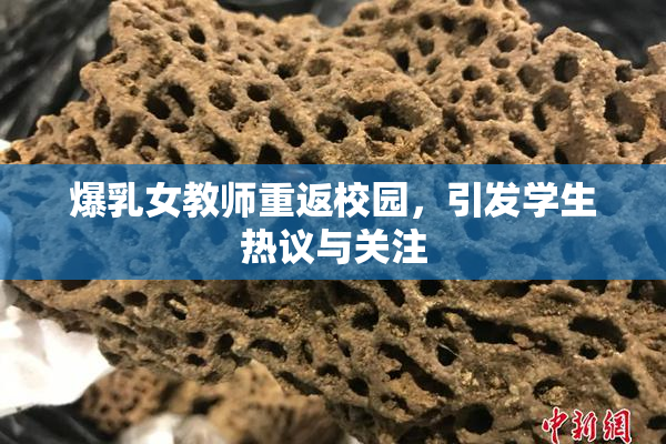 爆乳女教师重返校园，引发学生热议与关注