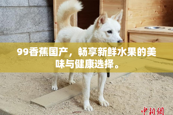 99香蕉国产，畅享新鲜水果的美味与健康选择。