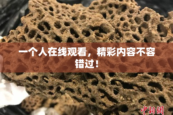 一个人在线观看，精彩内容不容错过！