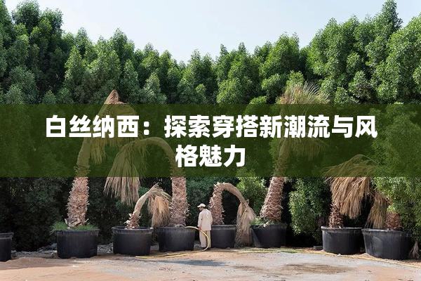 白丝纳西：探索穿搭新潮流与风格魅力