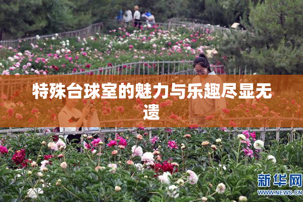 特殊台球室的魅力与乐趣尽显无遗