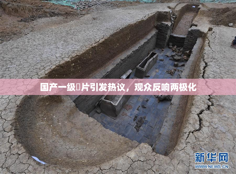 国产一级婬片引发热议，观众反响两极化