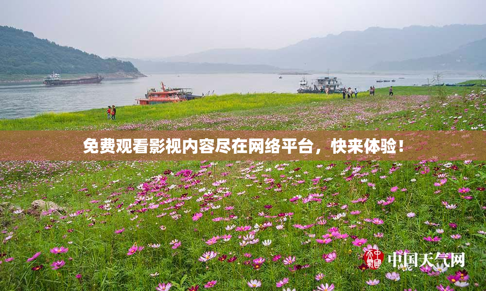 免费观看影视内容尽在网络平台，快来体验！