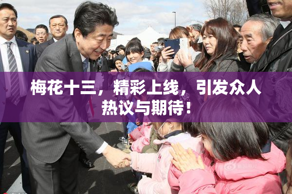 梅花十三，精彩上线，引发众人热议与期待！