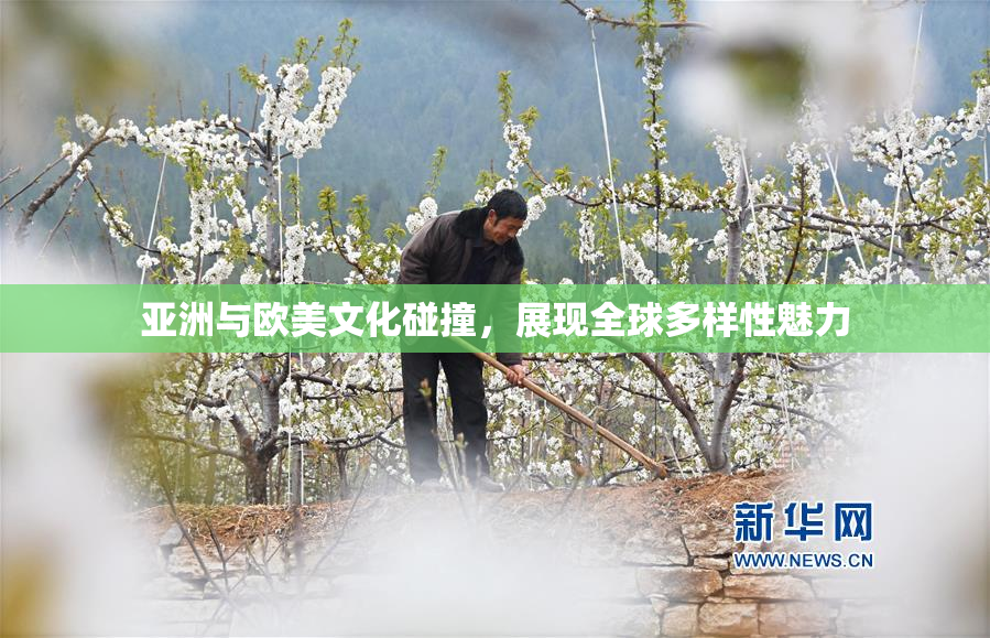亚洲与欧美文化碰撞，展现全球多样性魅力