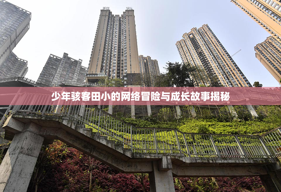 少年骇客田小的网络冒险与成长故事揭秘