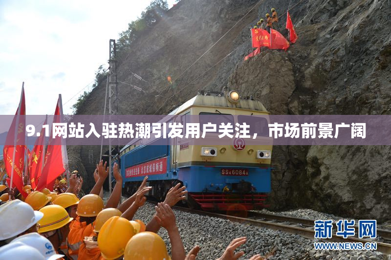 9.1网站入驻热潮引发用户关注，市场前景广阔