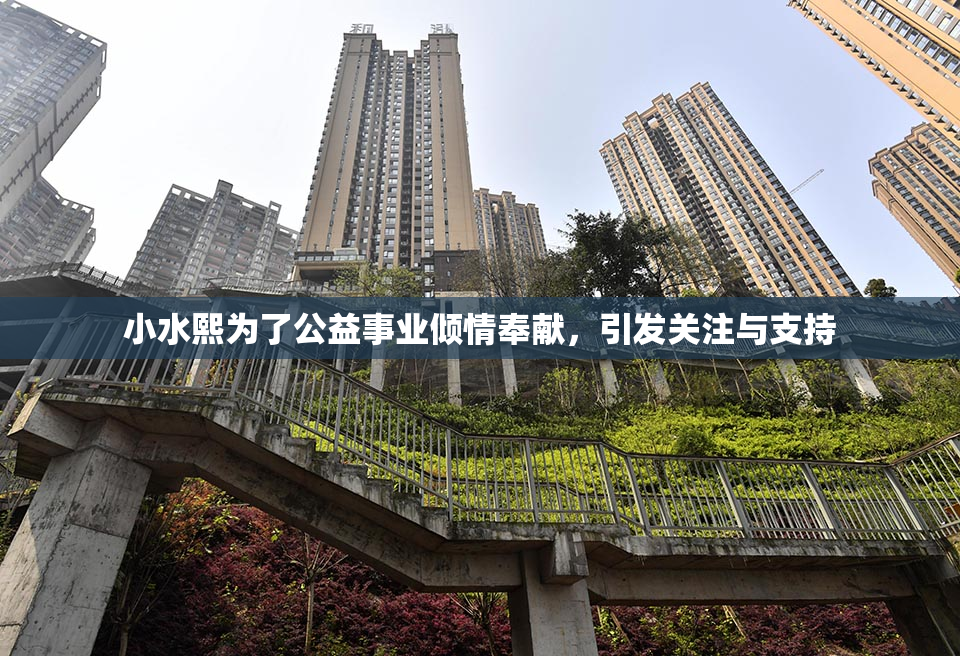 小水熙为了公益事业倾情奉献，引发关注与支持