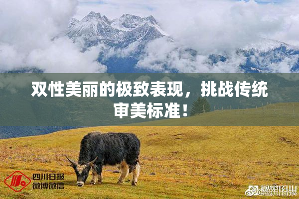 双性美丽的极致表现，挑战传统审美标准！