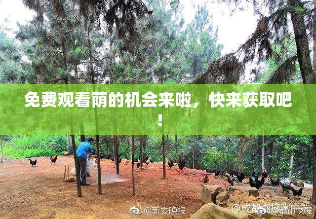 免费观看荫的机会来啦，快来获取吧！