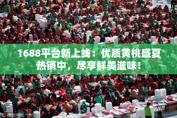 1688平台新上线：优质黄桃盛夏热销中，尽享鲜美滋味！